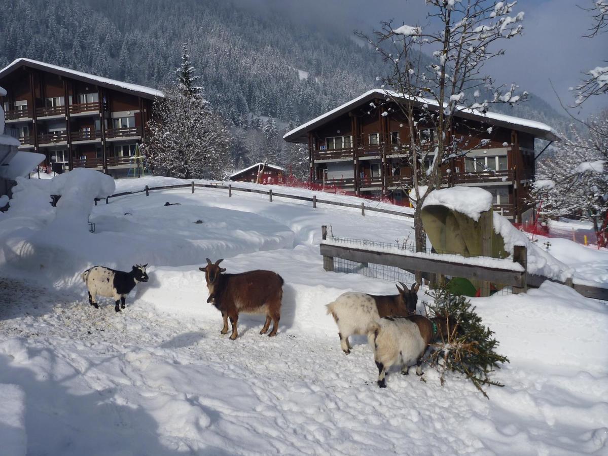 Hotel Reka-Feriendorf Lenk Zewnętrze zdjęcie